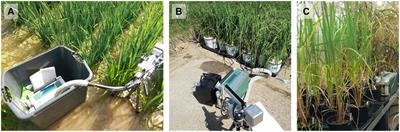 Effects of measurement methods and growing conditions on phenotypic expression of photosynthesis in seven diverse rice genotypes
